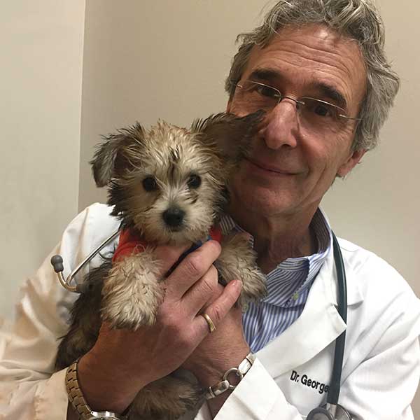 Dr. George Fountas | River Road Veterinary Hospital